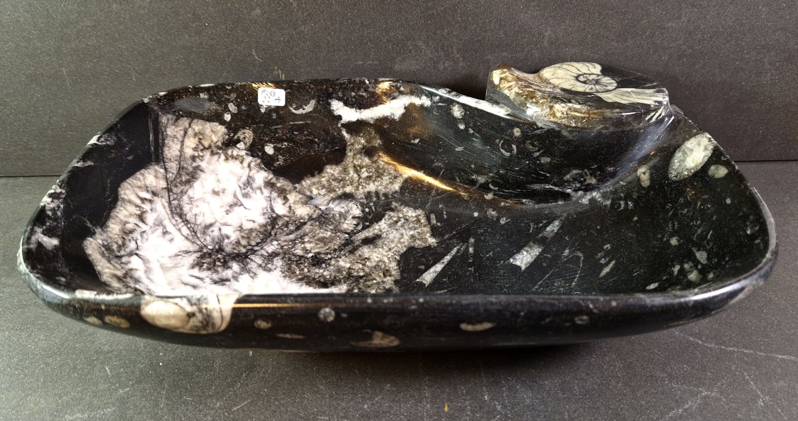 Stenfat med Fossiler - handslipat - 2