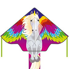 Delta Simple Flyer Pegasus
