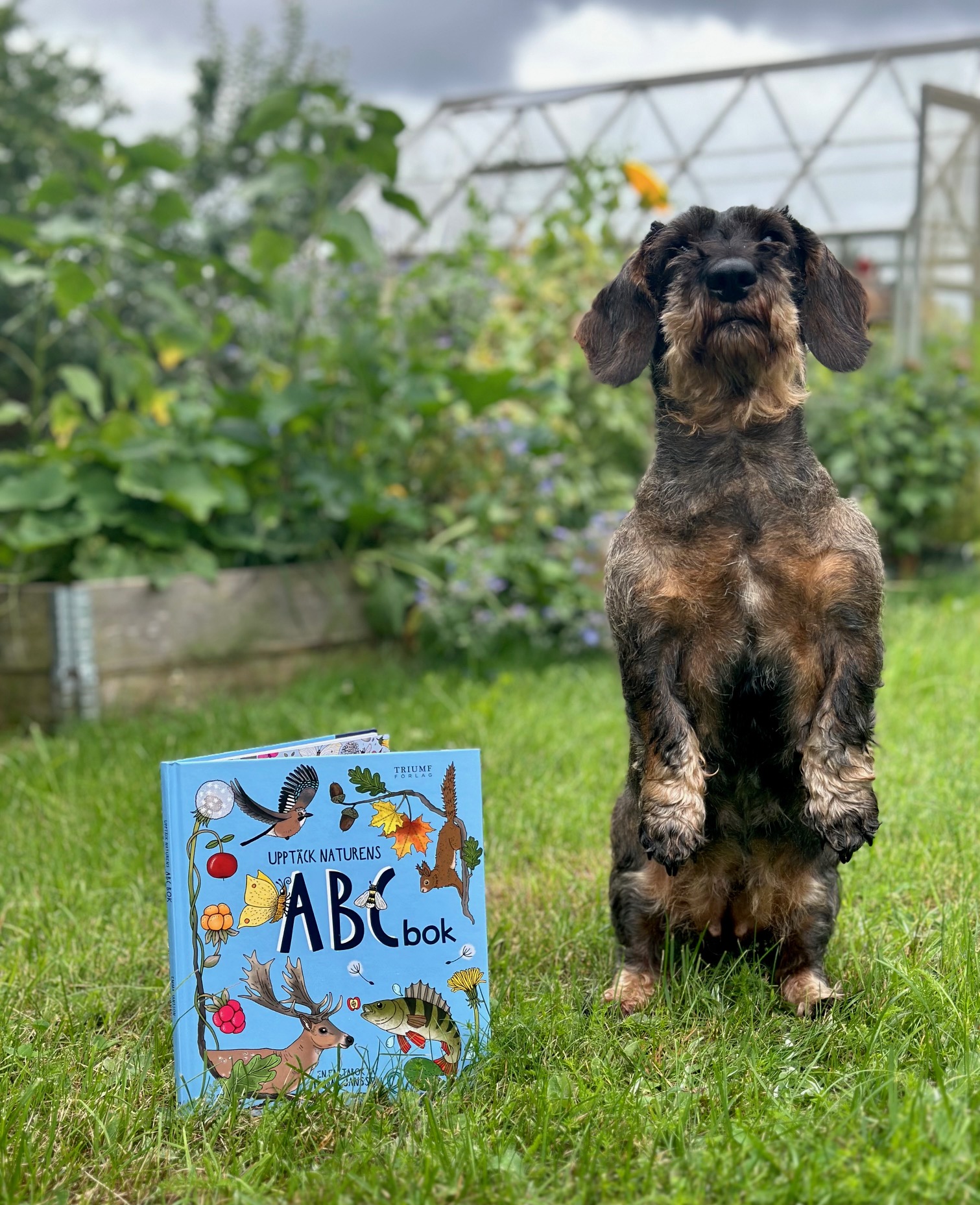 Upptäck naturens ABC-bok - 5