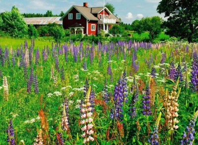 Farm in Sweden, 500 Bitar Ravensburger