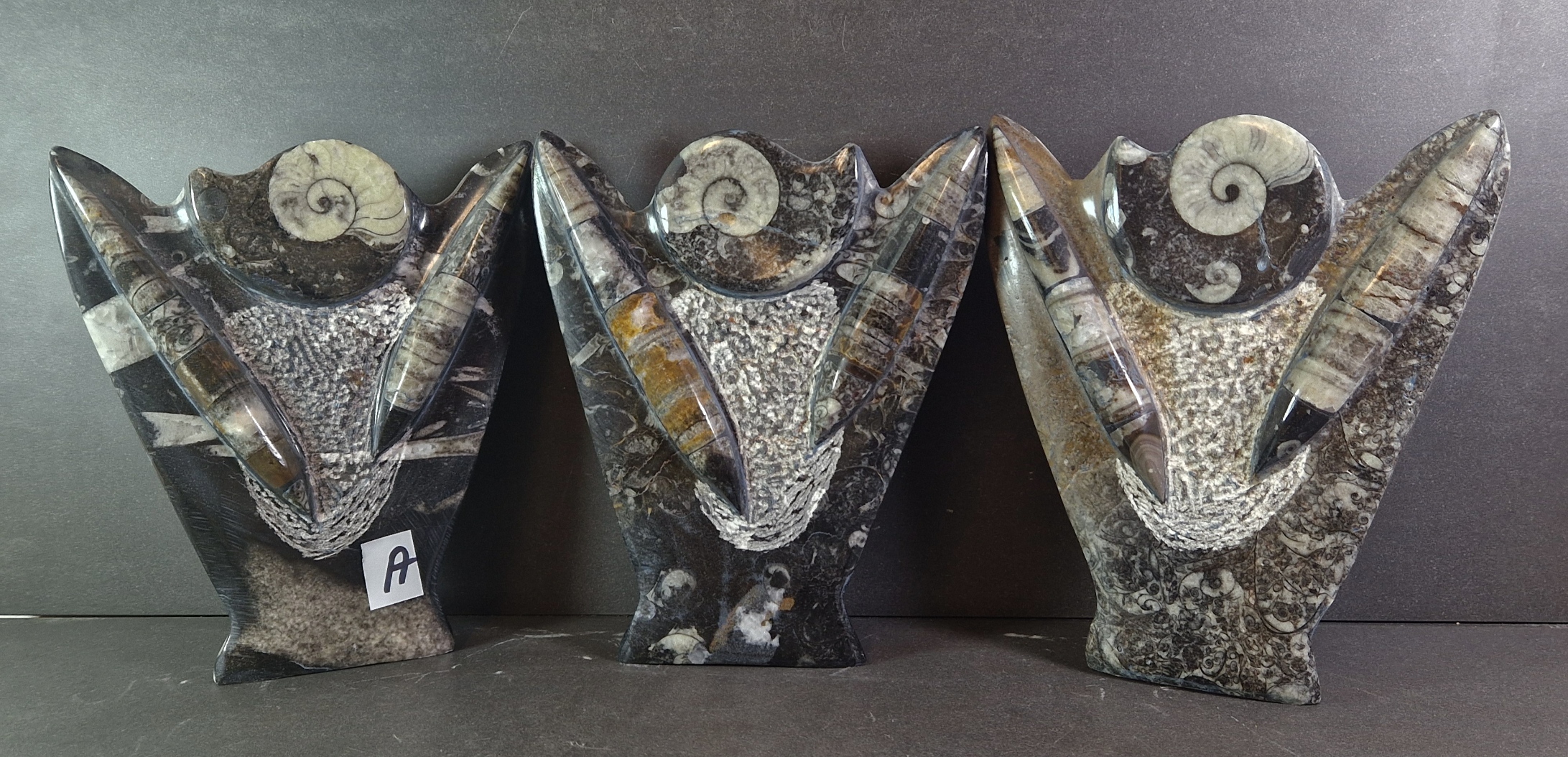 Fossil Skulptur  - 2