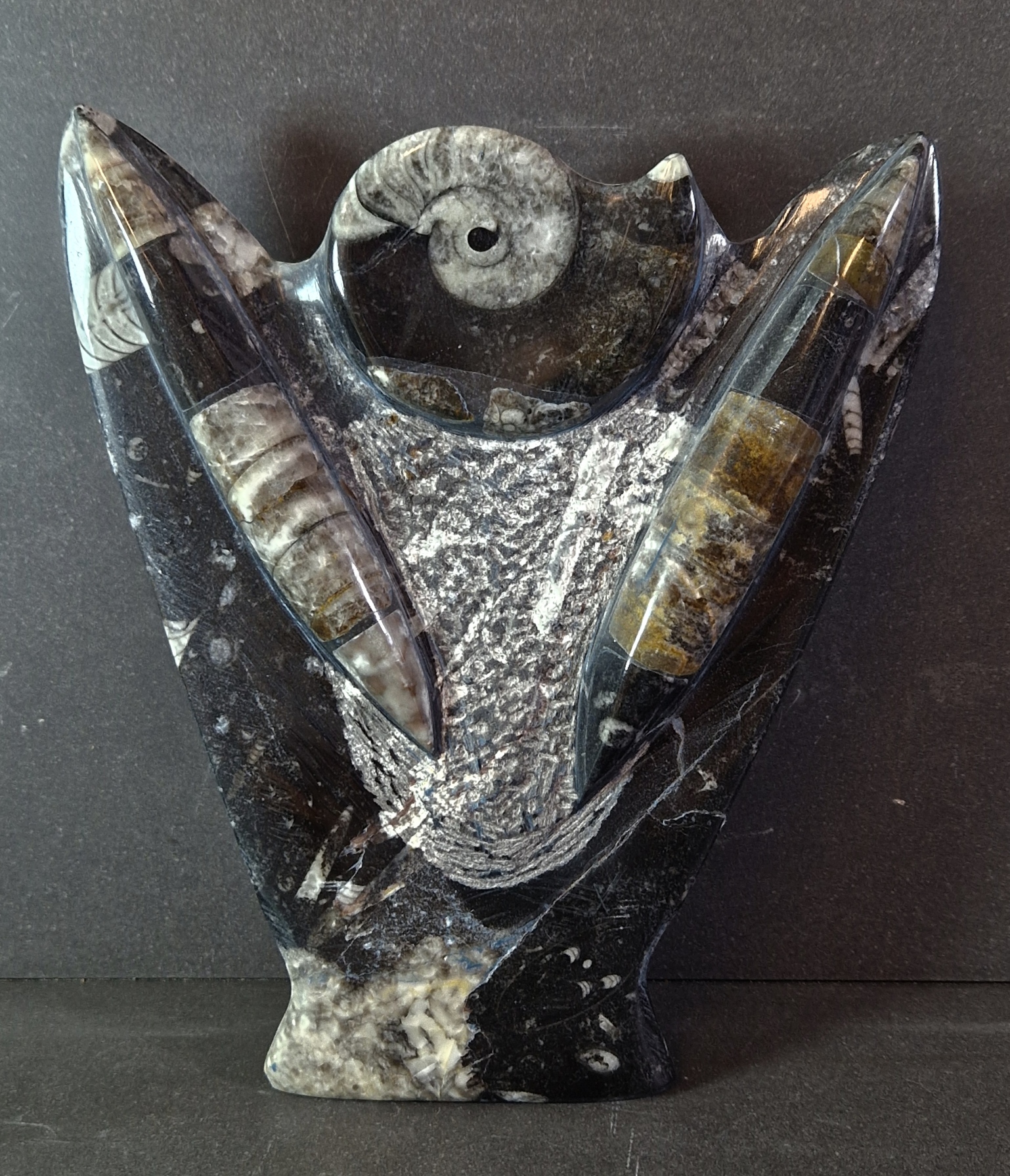 Fossil Skulptur 