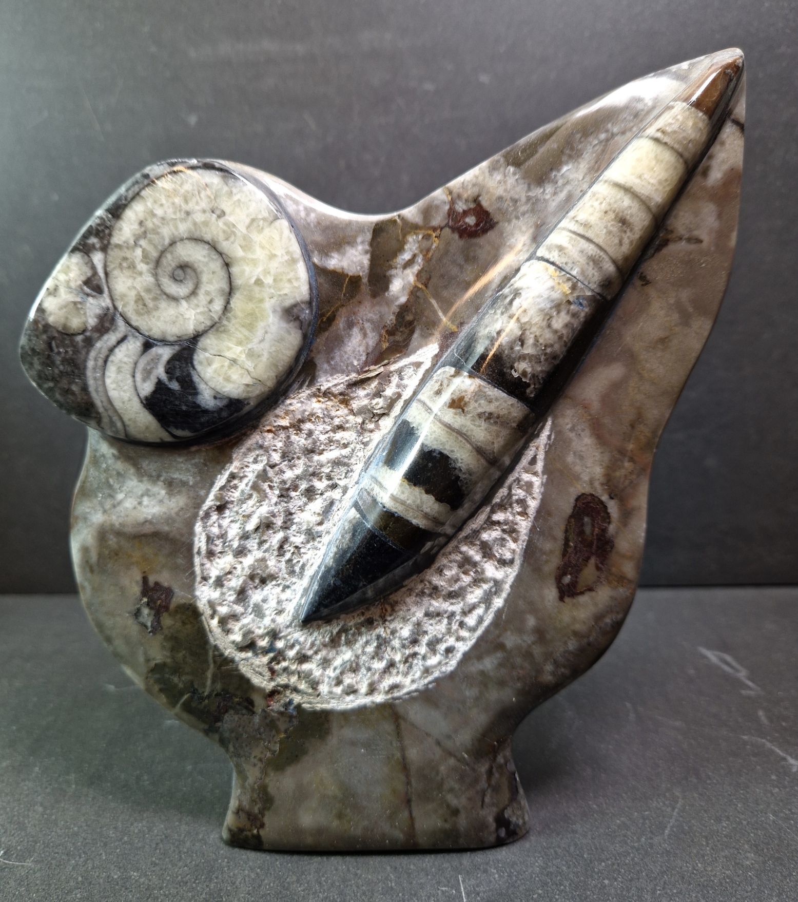 Fossil Skulptur  - 3