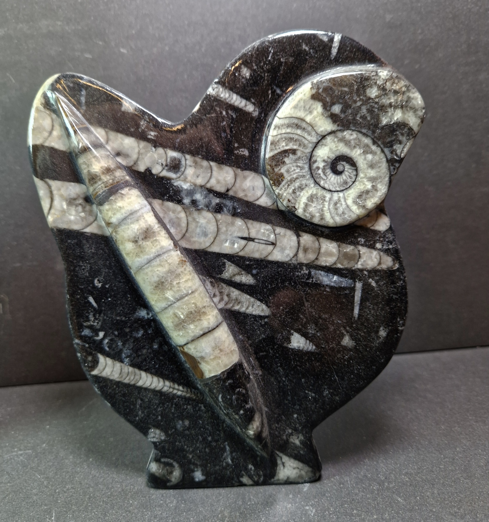 Fossil Skulptur  - 2