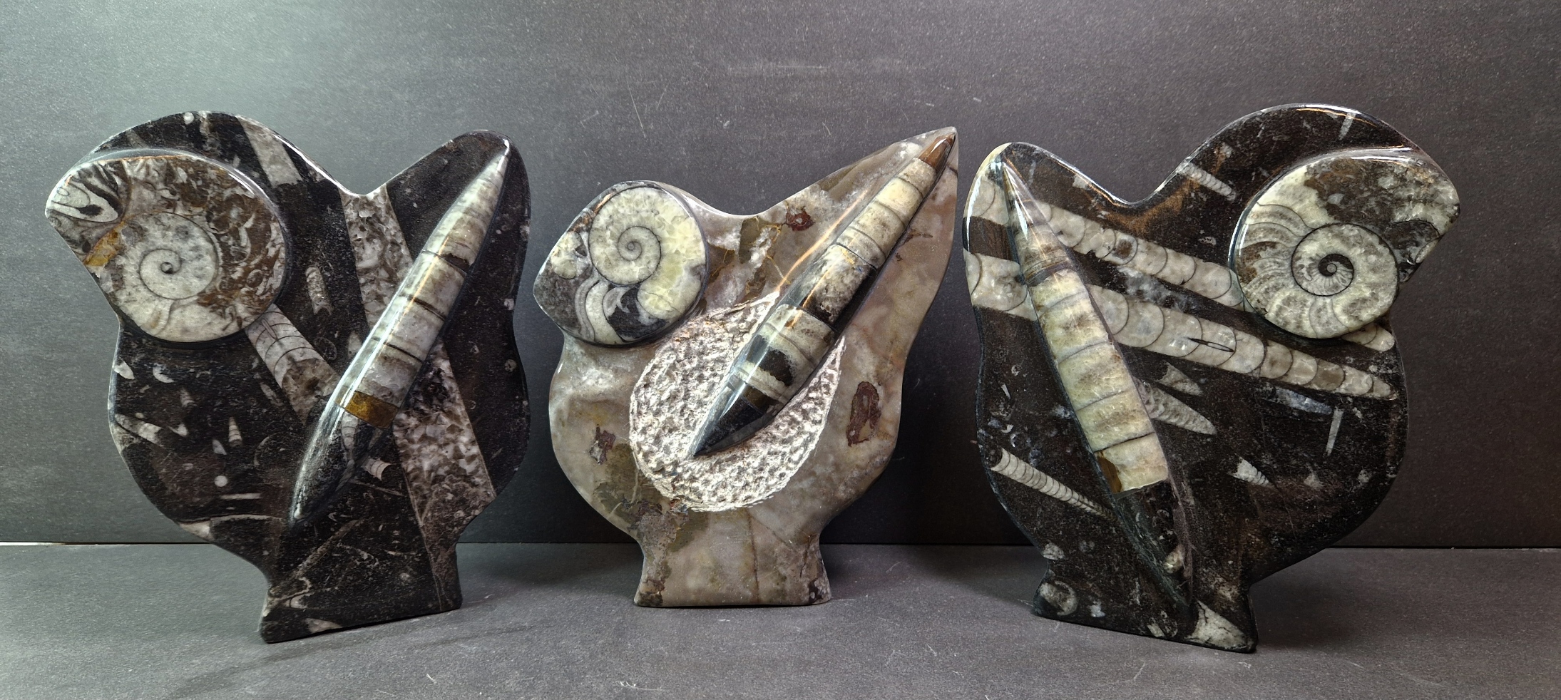Fossil Skulptur 
