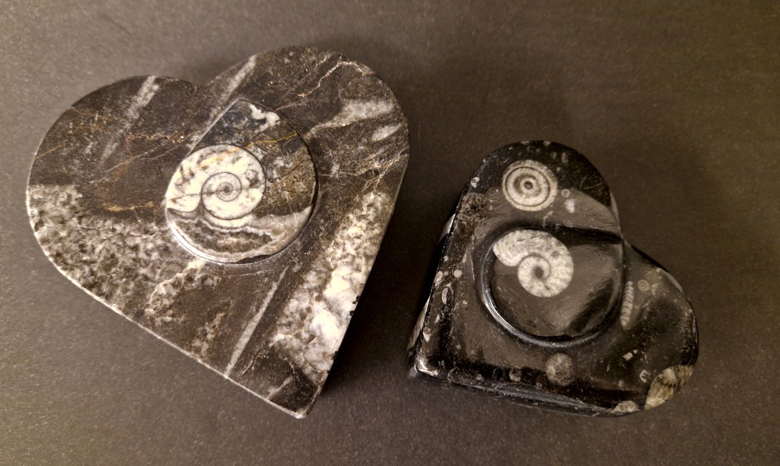 Hjärte Ask i Fossil sten
