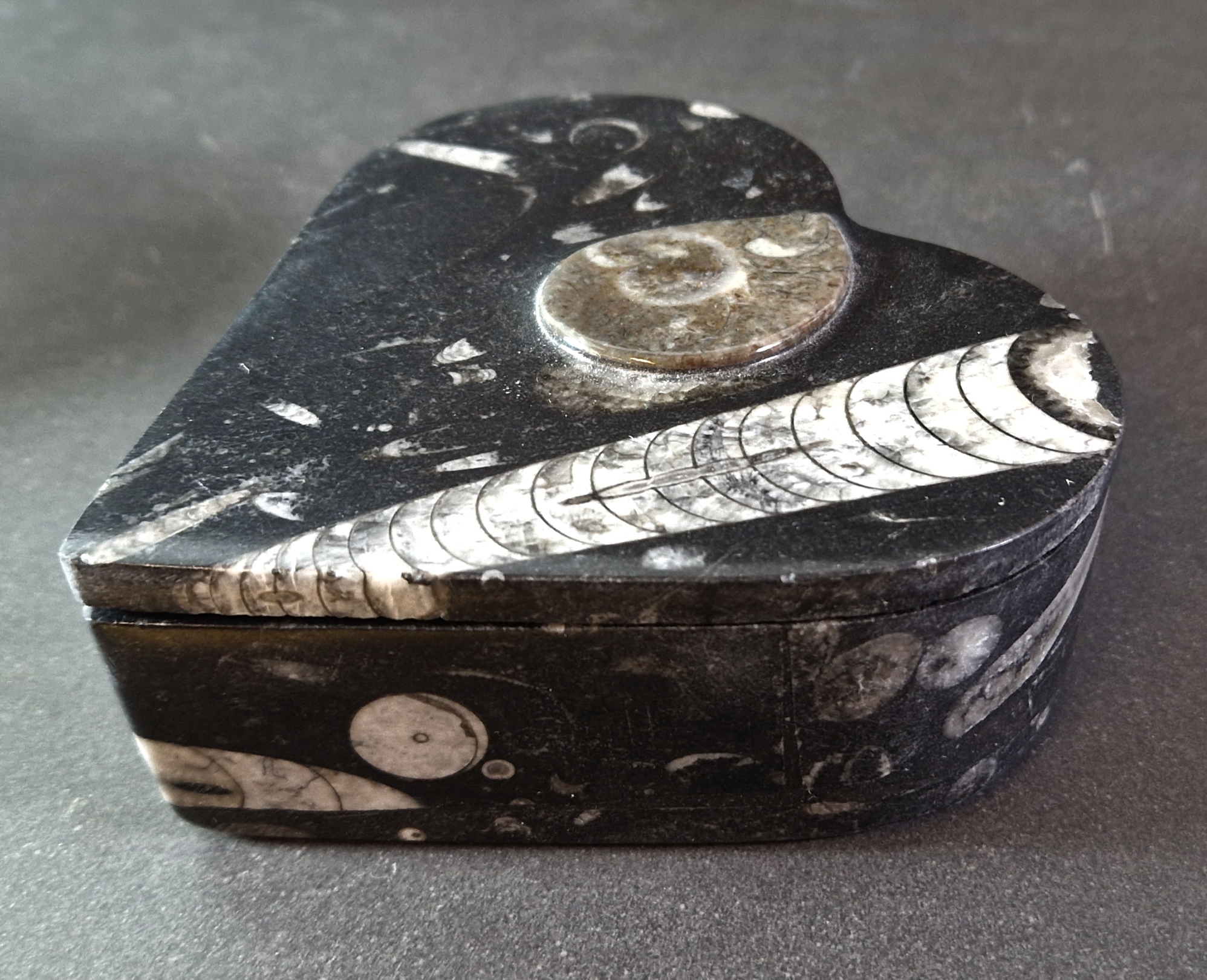 Hjärte Ask i Fossil sten - 3