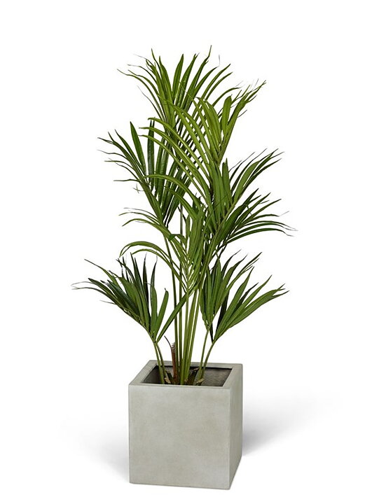 Kentia palmera, planta artificial