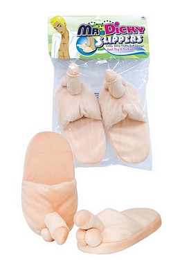 Mr Dicky Slippers