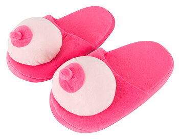 Plush Slippers
