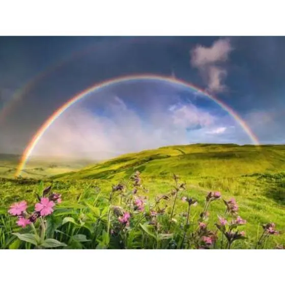 Rainbowscape, 1500 Bitar Ravensburger