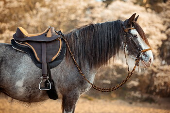 Barefoot® Cheyenne (leather saddle), nougat