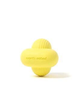 Fetch Toy, Small