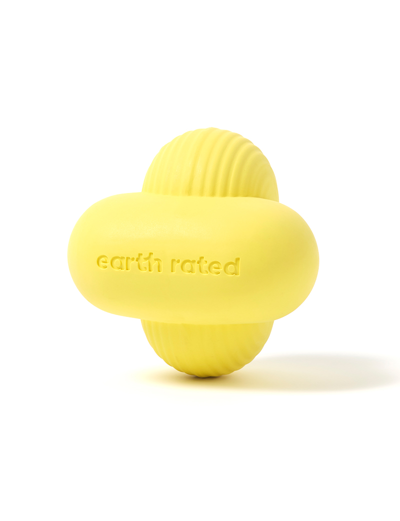 Fetch Toy, Medium
