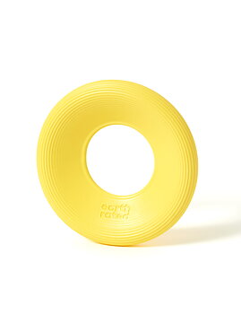 Flyer Toy, Small