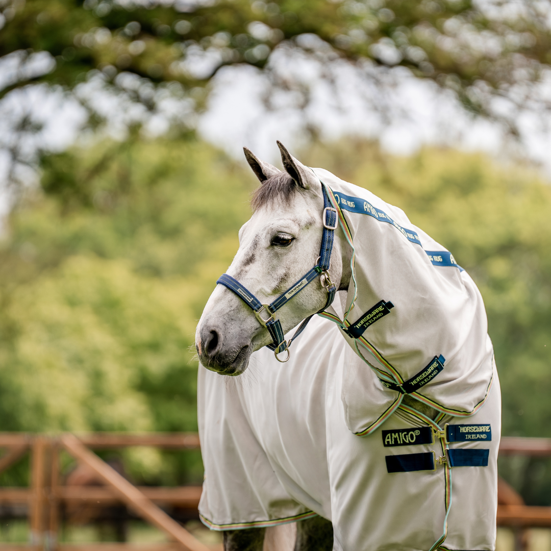 HORSEWARE SIGNATURE FIELDSAFE GRIMMA - 3