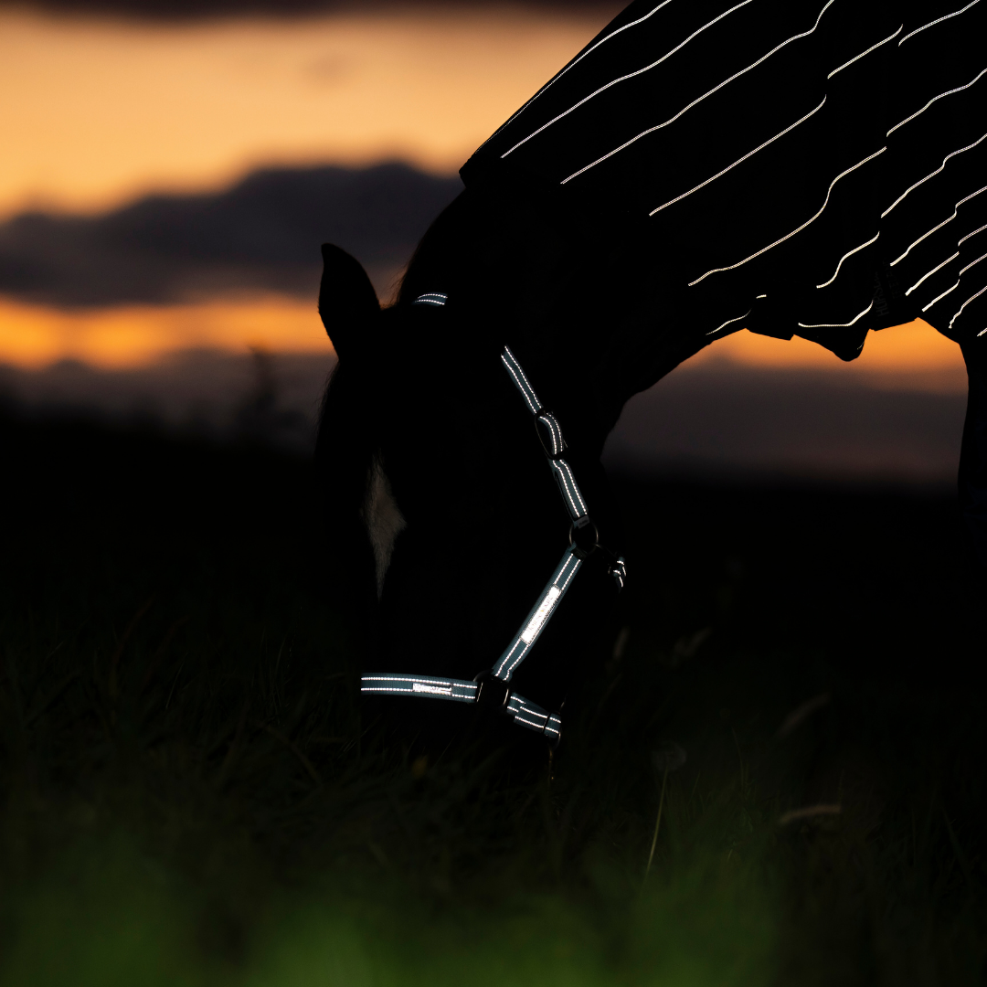 HORSEWARE SIGNATURE FIELDSAFE GRIMMA - 14