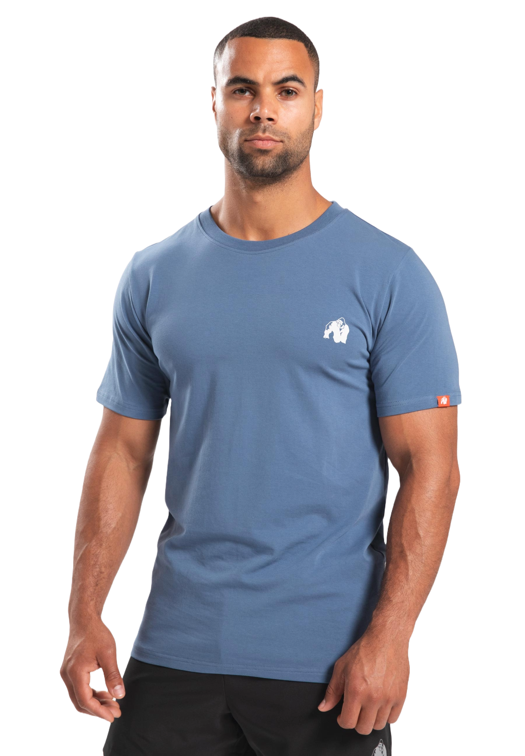 Warren T-Shirt, coronet blue