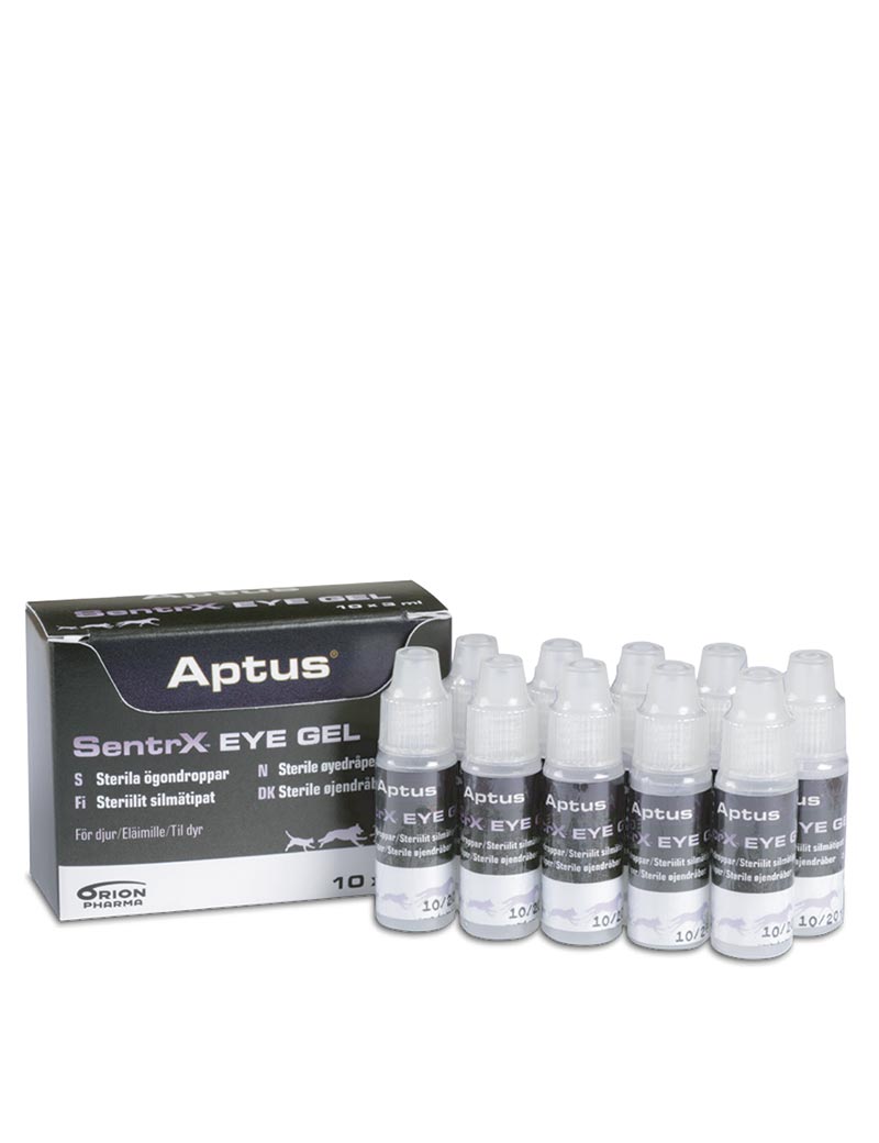 Aptus SentrX Eye Drops Augentropfen - 10 x 3 ml 