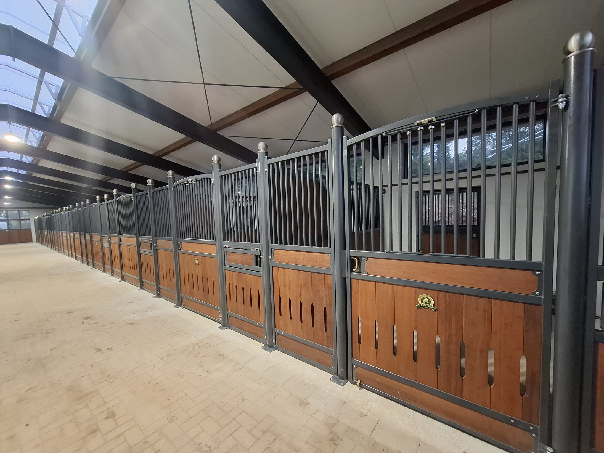boxfront-barcelona-35m-lucka-hasthuvud