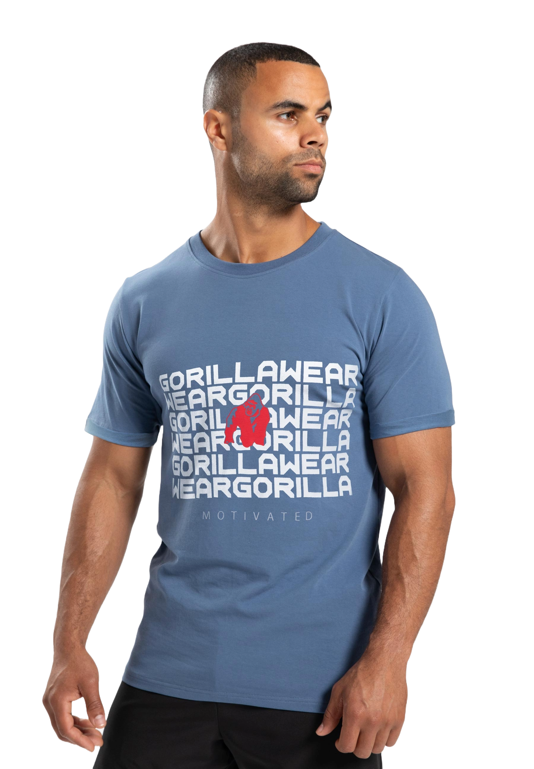 Bradley T-Shirt, coronet blue