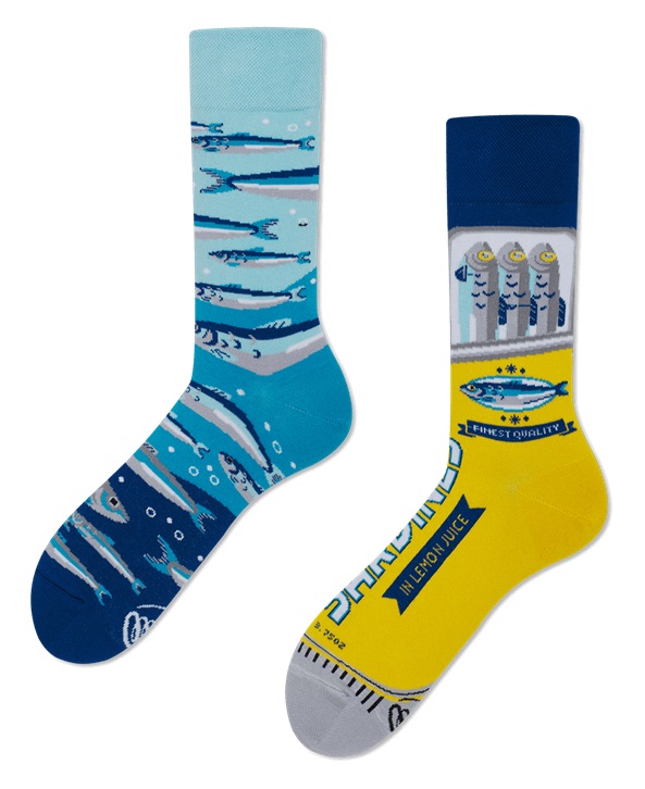 Many Mornings The Sardines