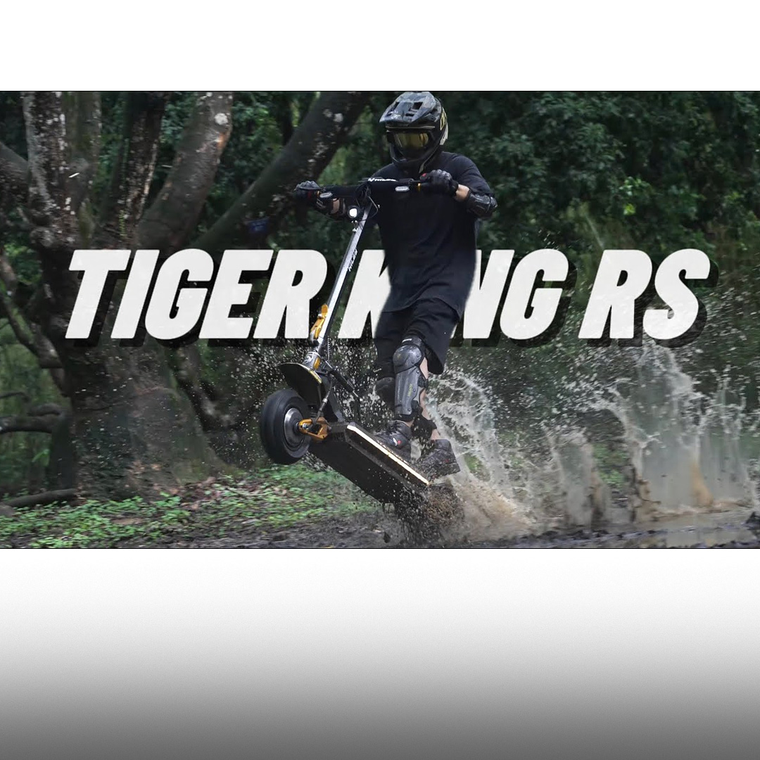 Hiley Tiger King - 6