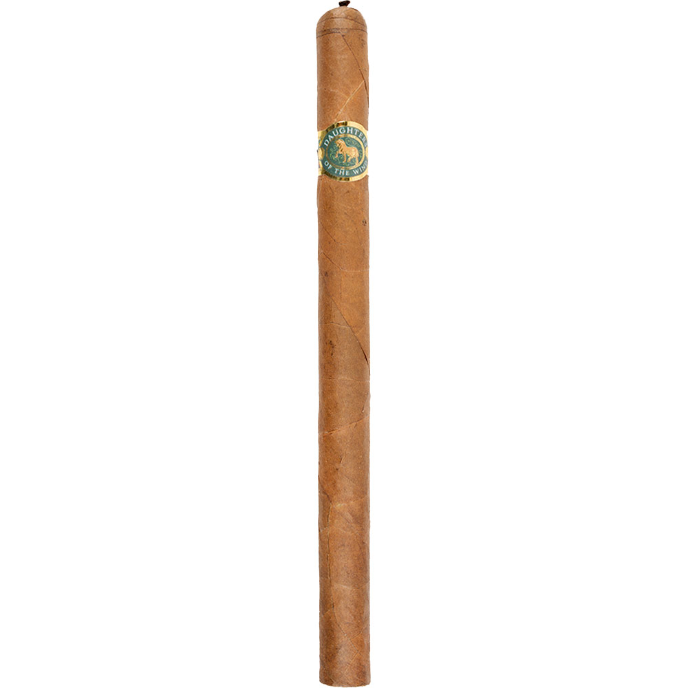 Casdagli Daughters of the Wind Cremello Lancero