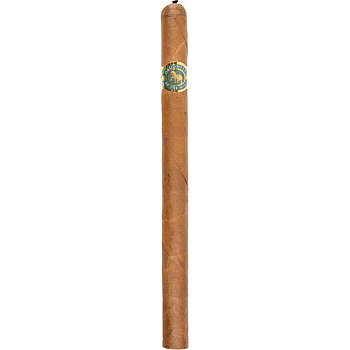 Casdagli Daughters of the Wind Cremello Lancero