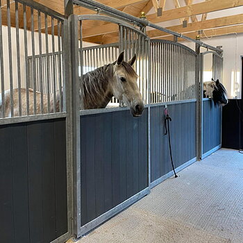 Skjutdörr och helgaller på ASPEN 3 m hästboxfront
