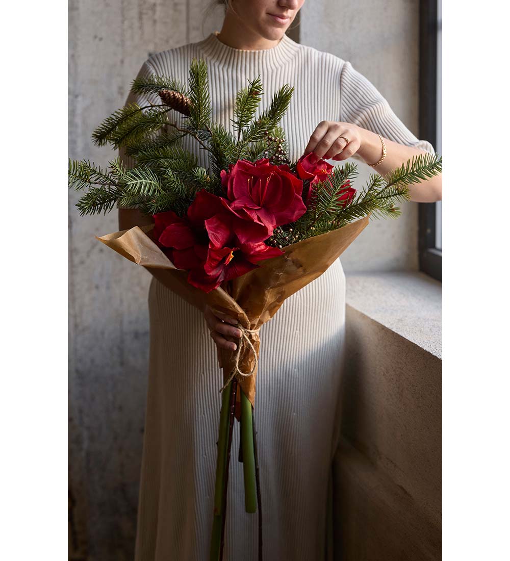 Amaryllis - Red - 60 cm