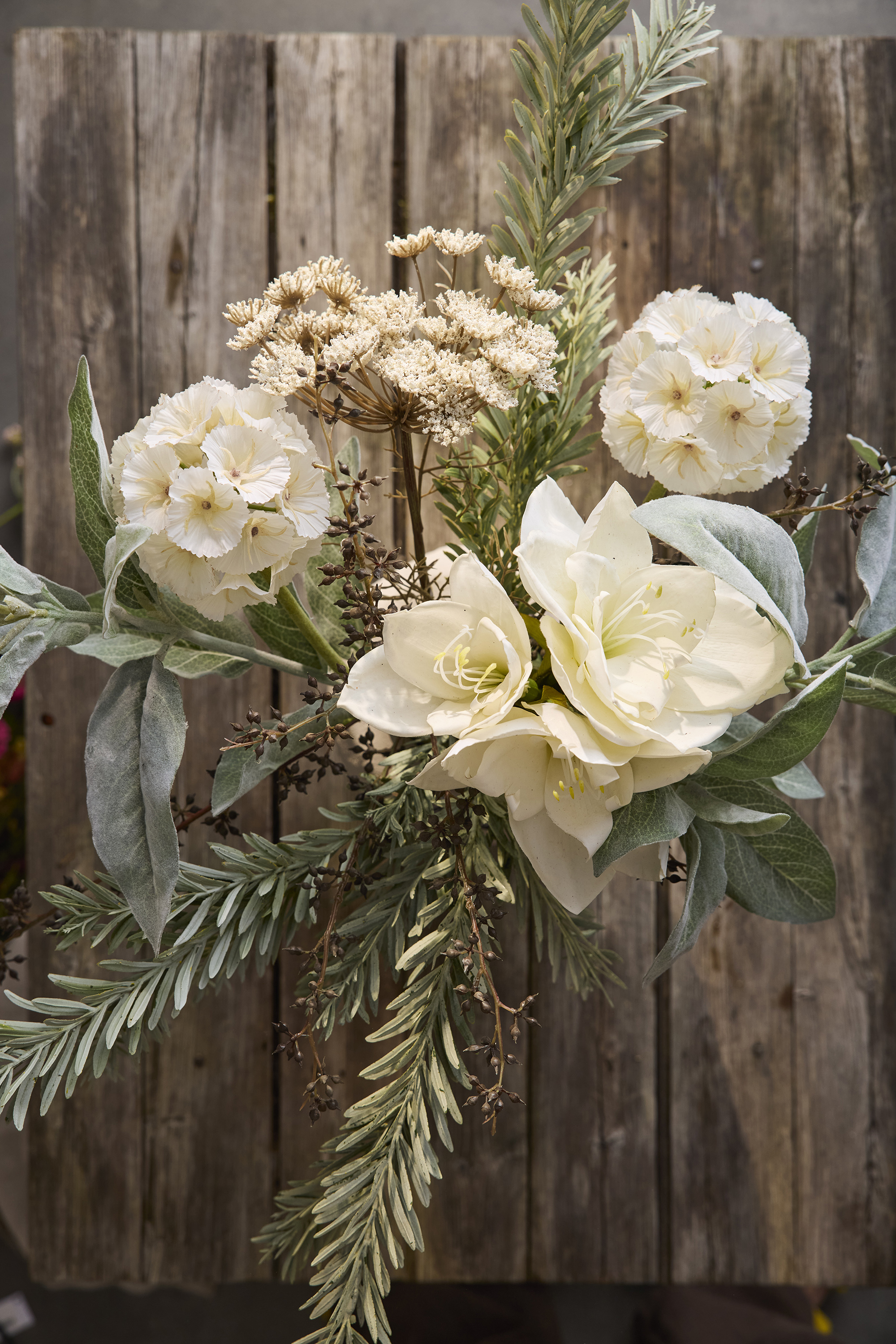 Amaryllis - Cream - 60 cm - 7