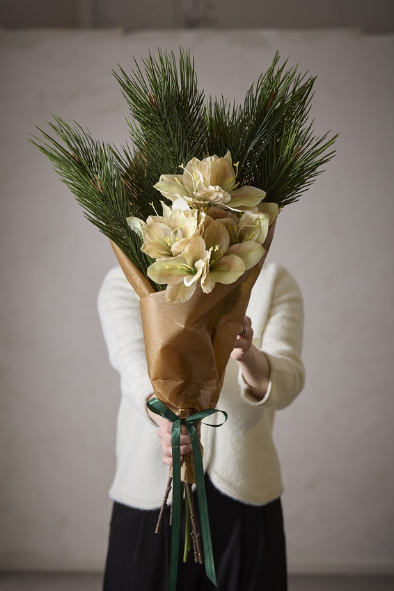 Amaryllis - Ljusgul/Melerad - 63 cm