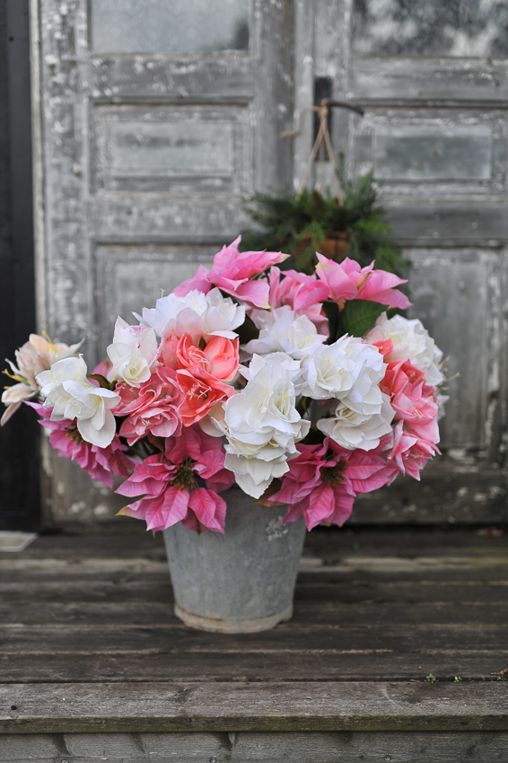 Amaryllis - Pink - 60 cm - 5