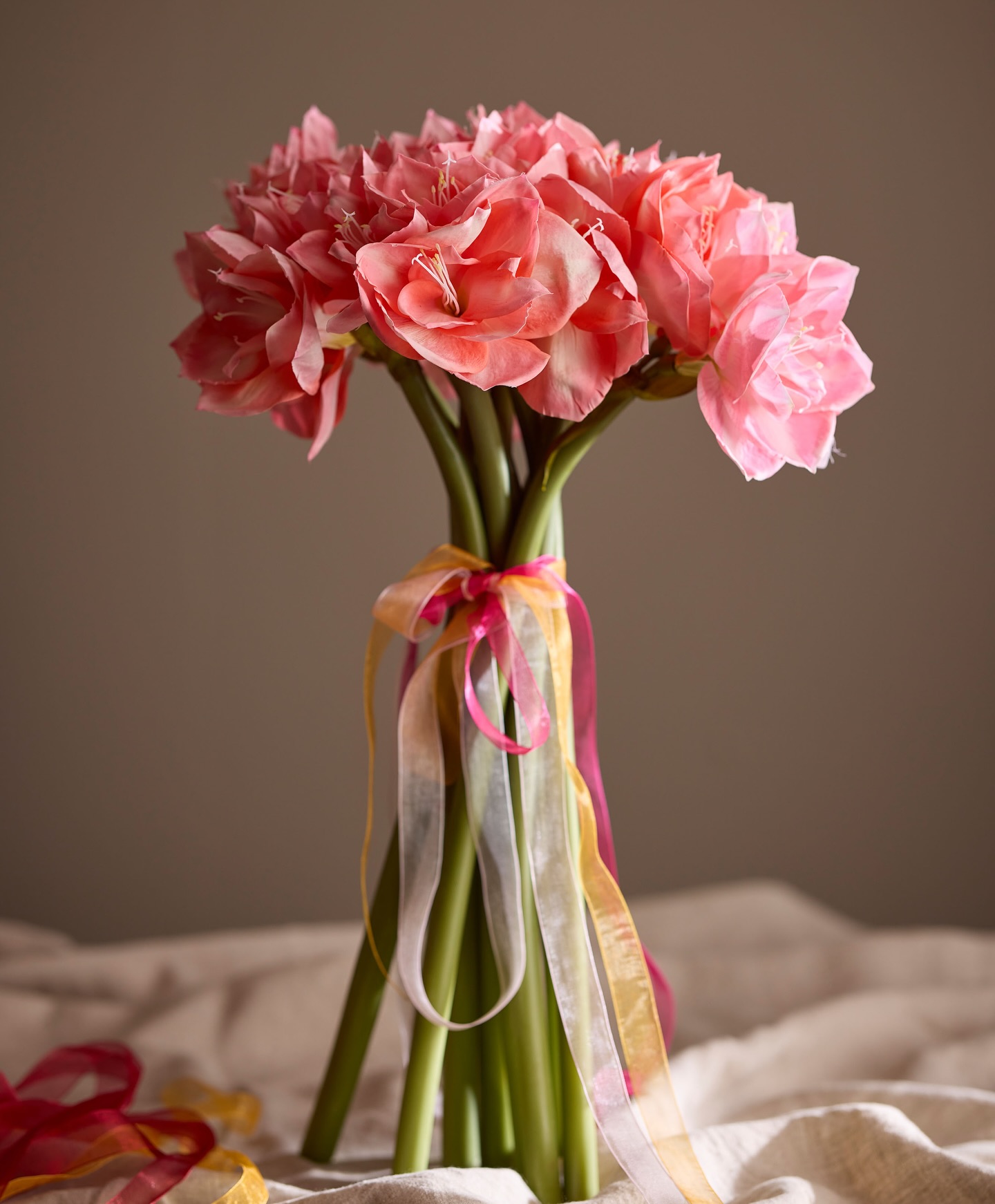Amaryllis - Deep pink - 60 cm