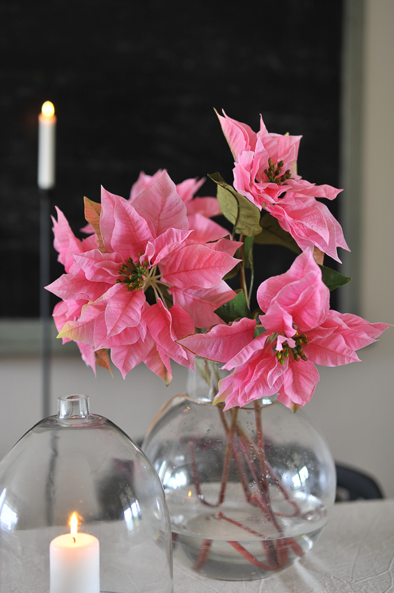 Julstjärna Rosa 70 cm - 13