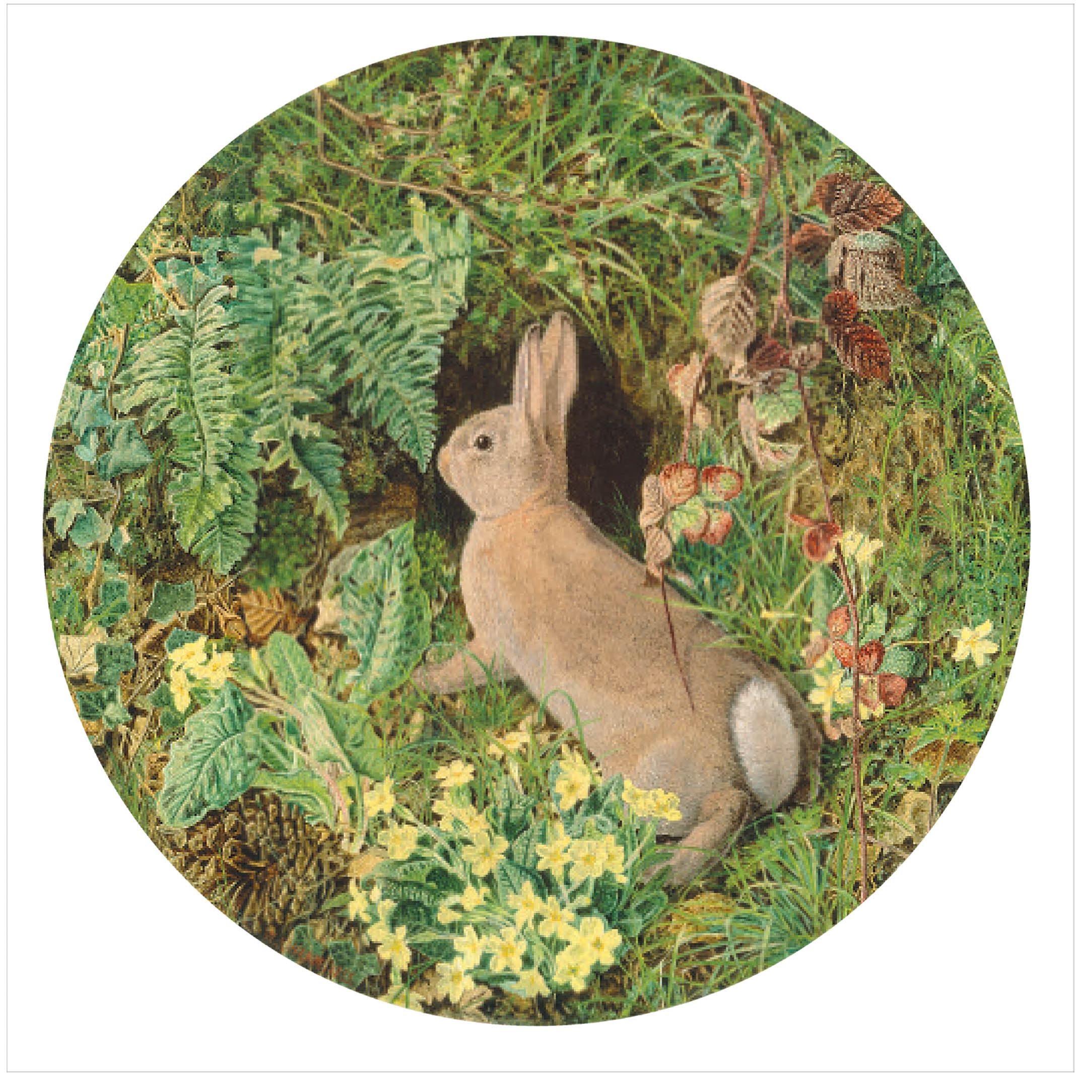  Rabbit amid Ferns and Flowering Plant, Greeting Card