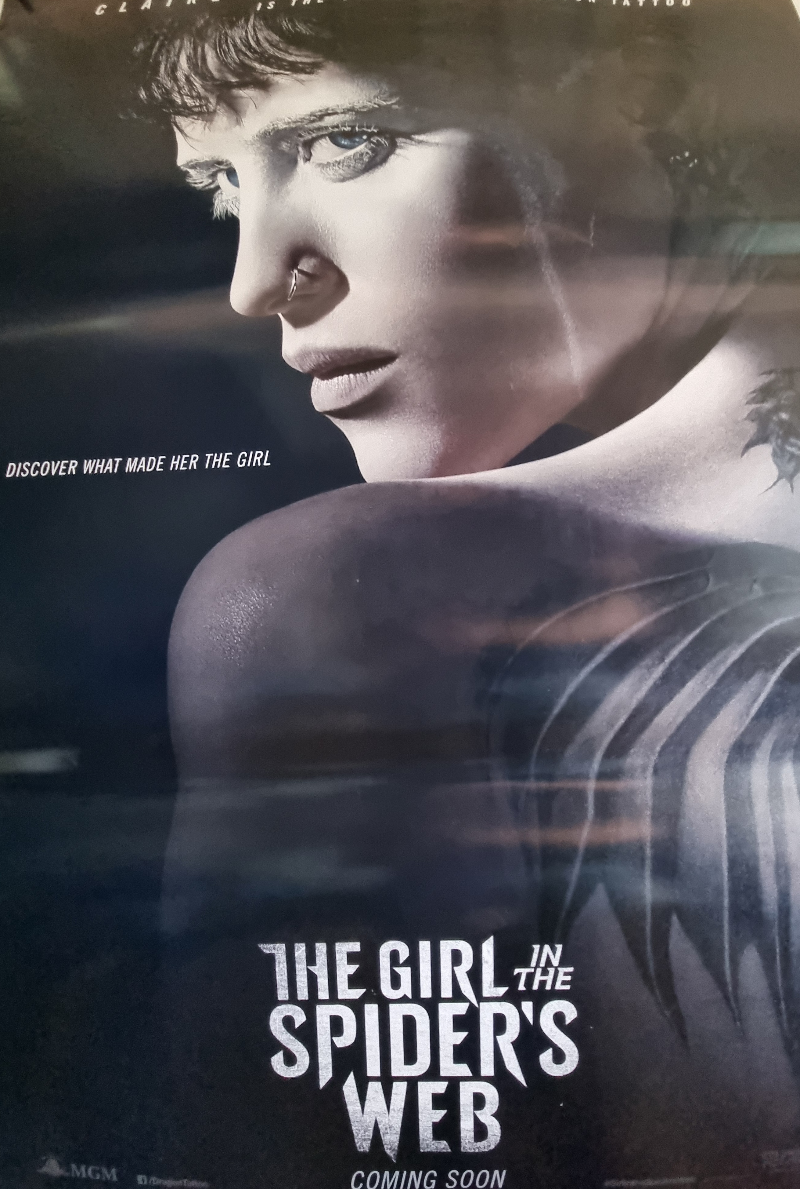 The Girl In The Spiders Web