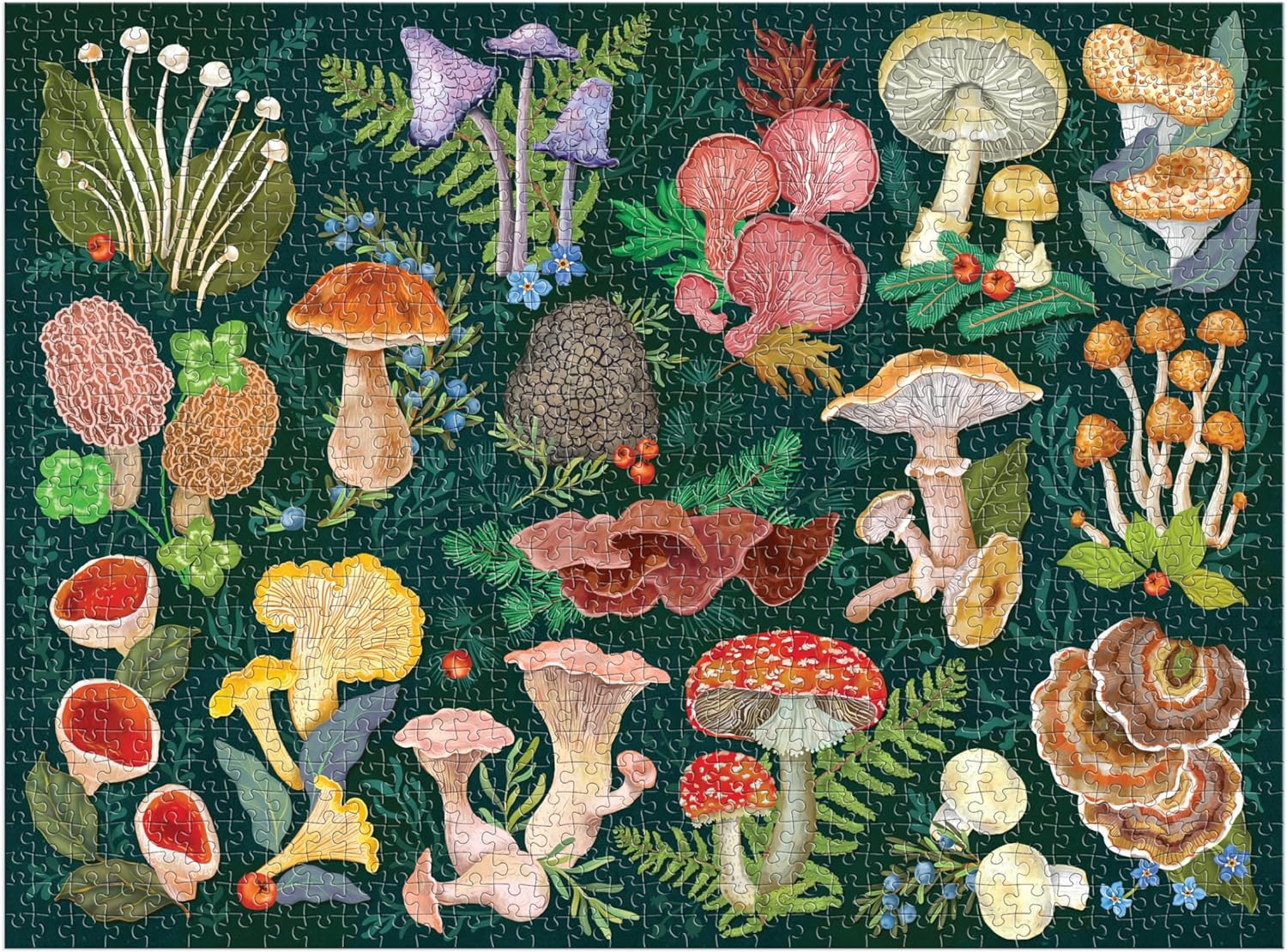 World of Mushrooms – 1000 Piece Puzzle - 6