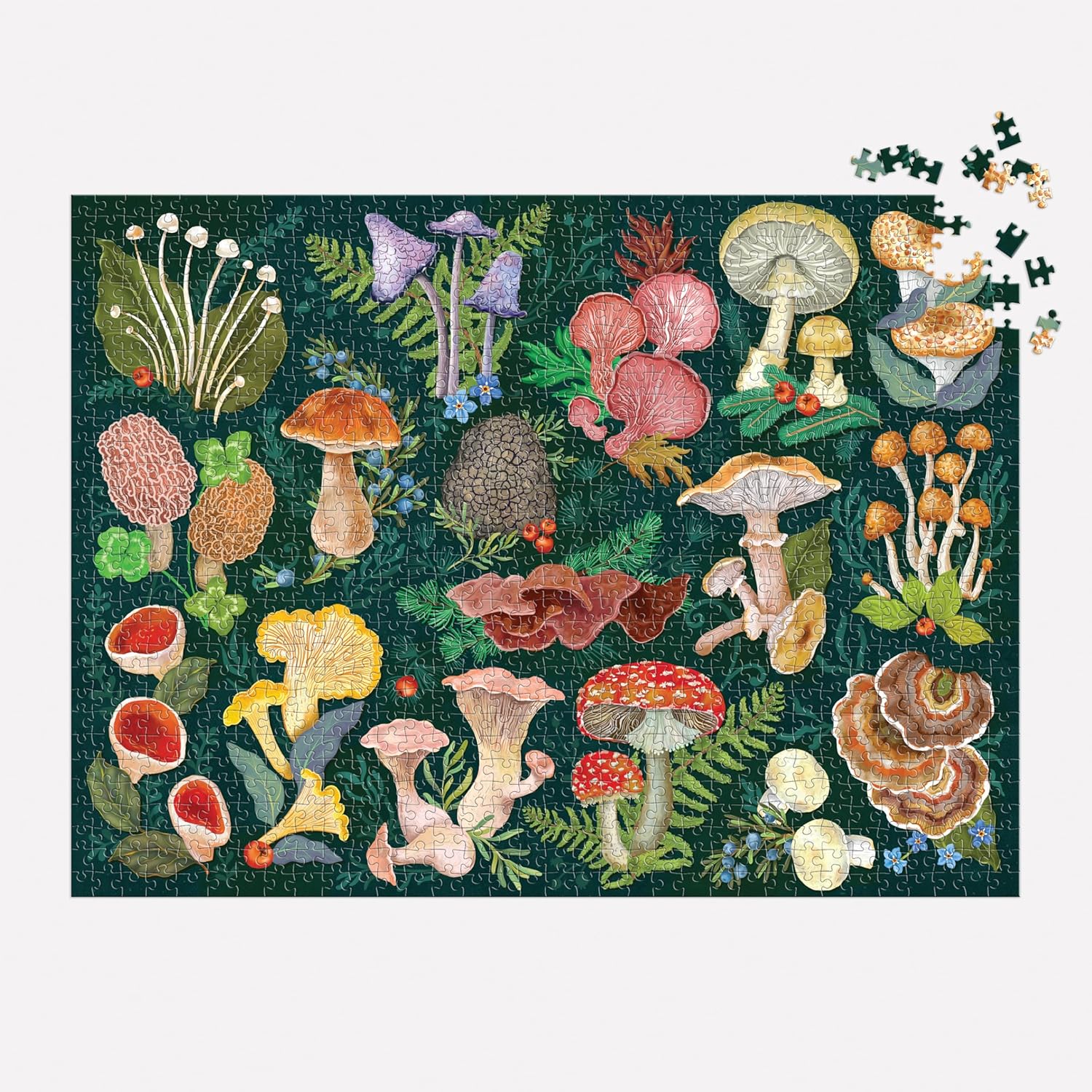 World of Mushrooms – 1000 Piece Puzzle - 3