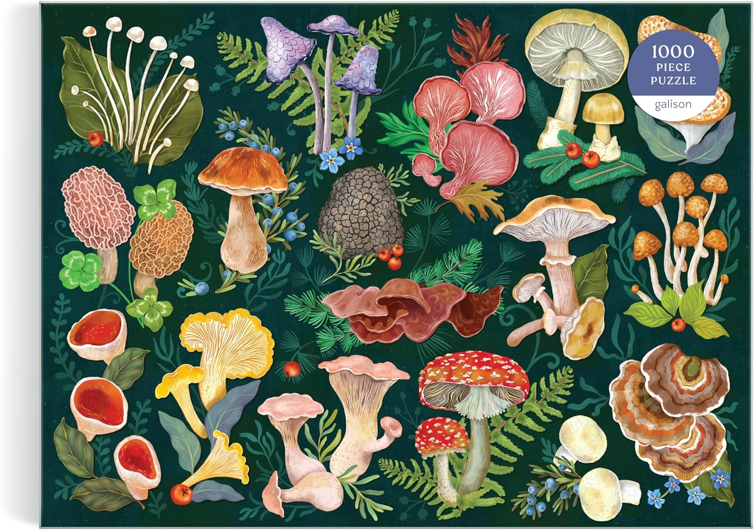 World of Mushrooms – 1000 Piece Puzzle - 2