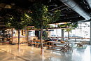 Scandic hotels