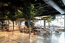 Scandic hotels