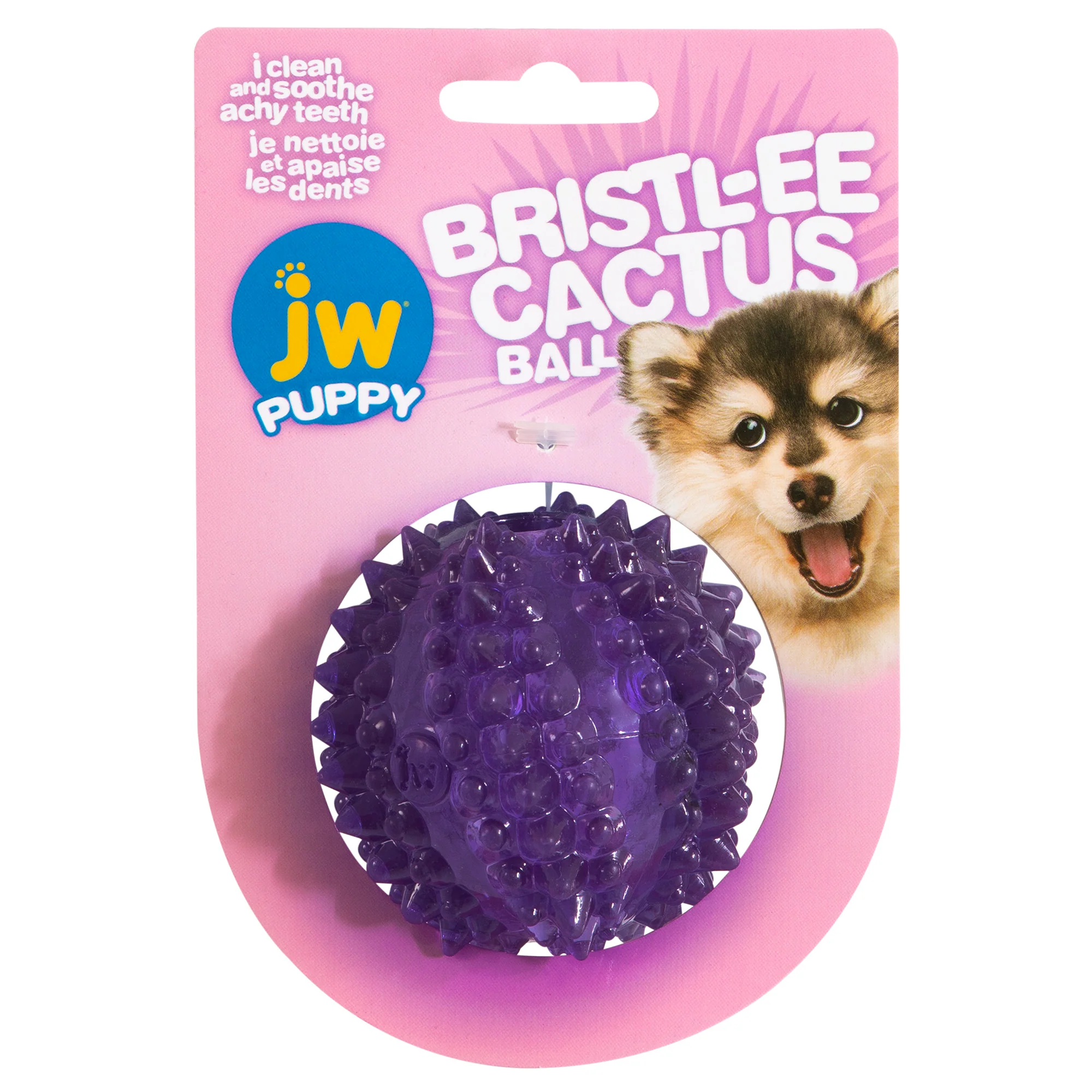 JW Bristl-ee Cactus Ball