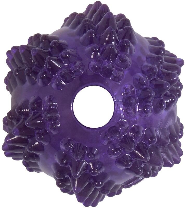 JW Bristl-ee Cactus Ball - 2