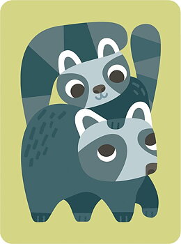 Raccoons, Greeting Card