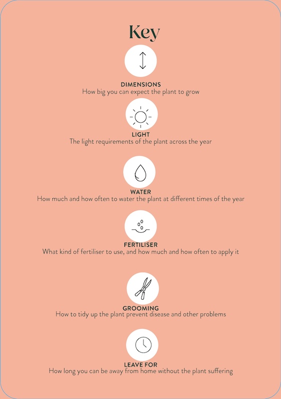Pocket Plantcare, A handy Guide to Raising 50 of your Best-Loved Indoor plants - 3