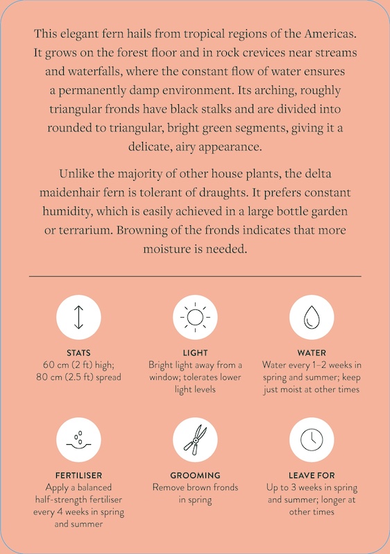 Pocket Plantcare, A handy Guide to Raising 50 of your Best-Loved Indoor plants - 7