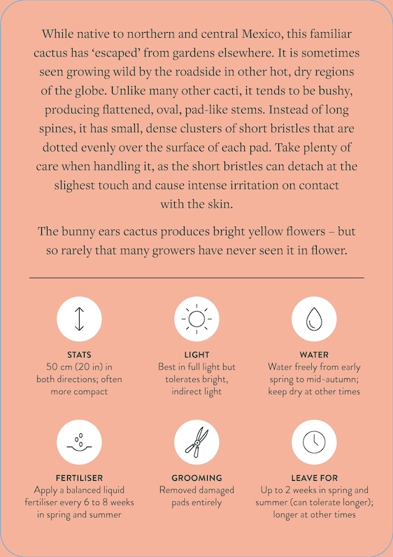 Pocket Plantcare, A handy Guide to Raising 50 of your Best-Loved Indoor plants - 9