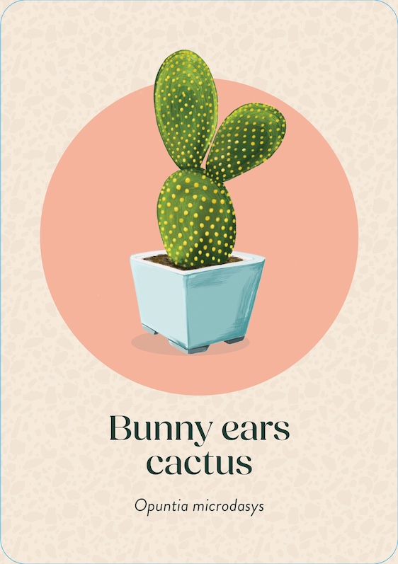 Pocket Plantcare, A handy Guide to Raising 50 of your Best-Loved Indoor plants - 4